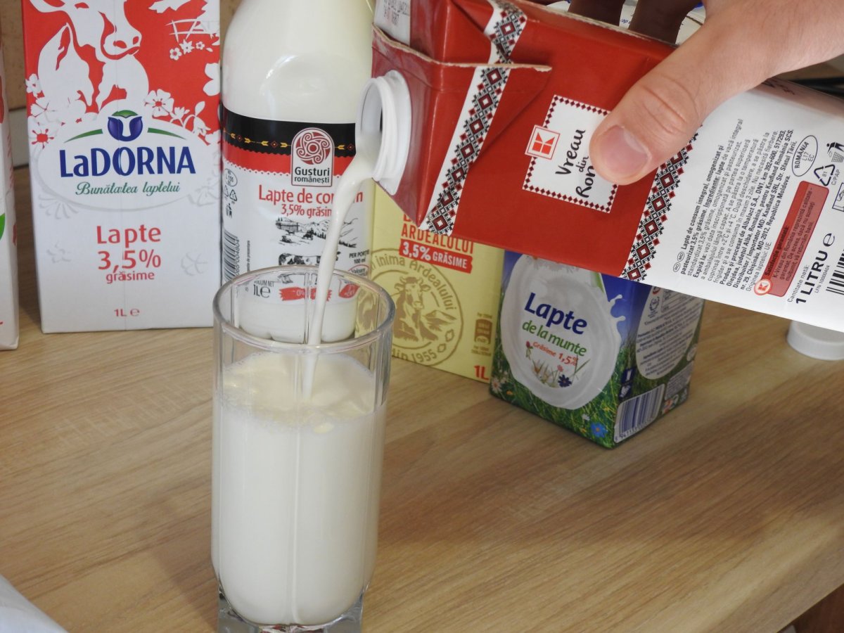 •  Fotó: Kisréti Zsombor
