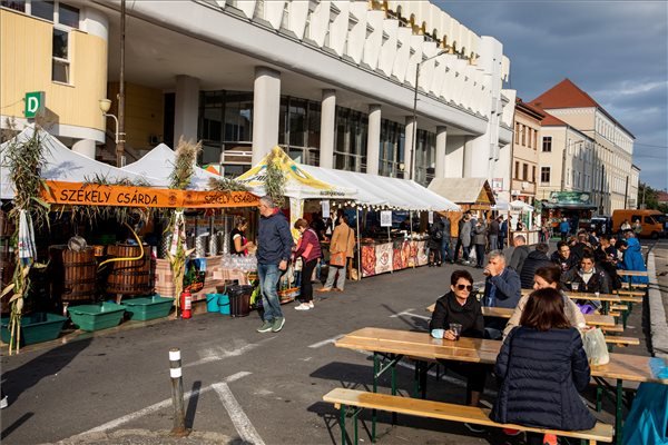 Kiállítók a VI. Temesvári Magyar Napokon •  Fotó: MTI/Rosta Tibor