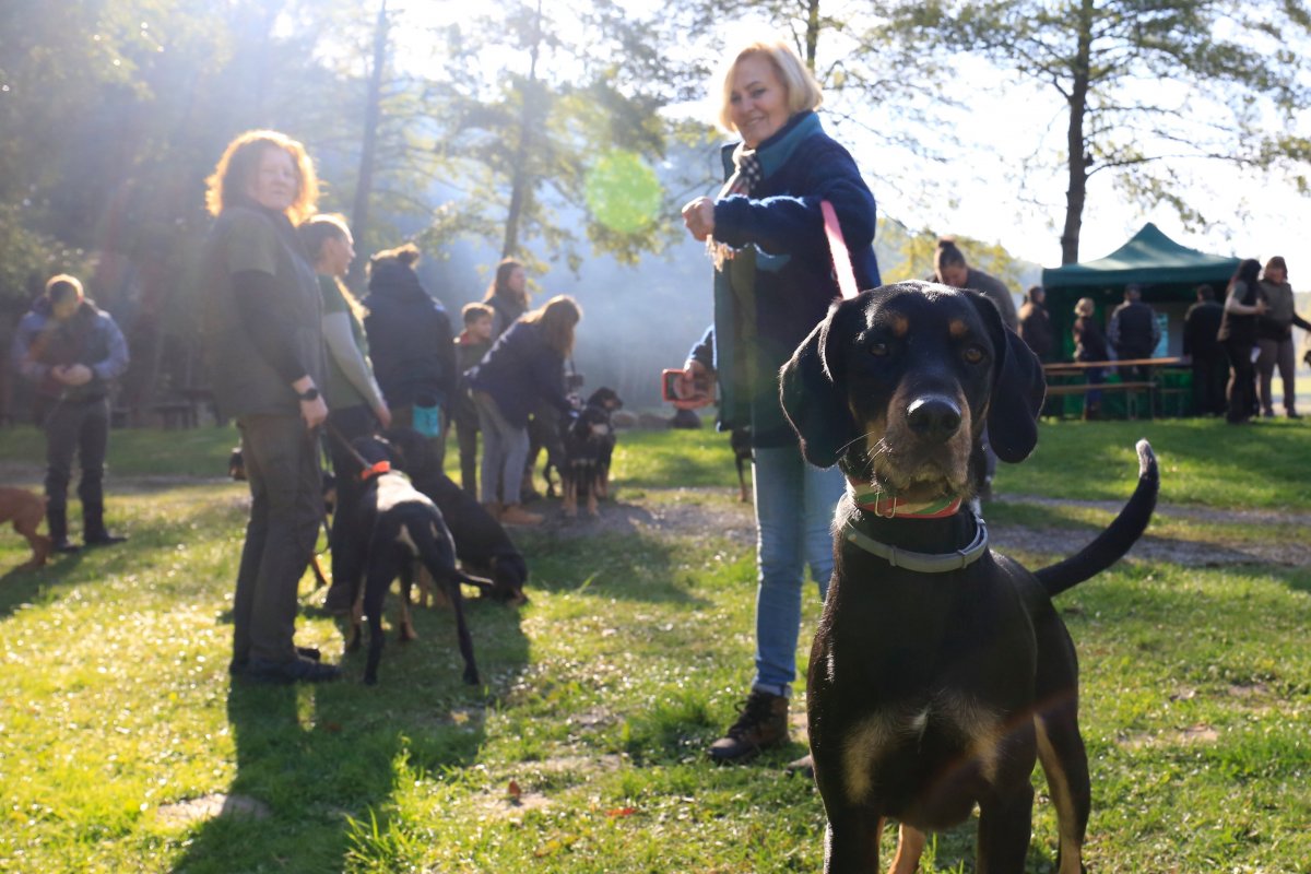 •  Fotó: MTI/Varga György