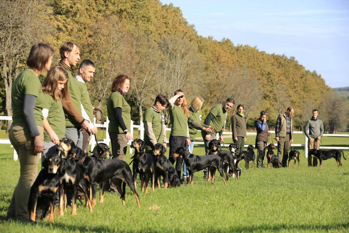 •  Fotó: MTI/Varga György