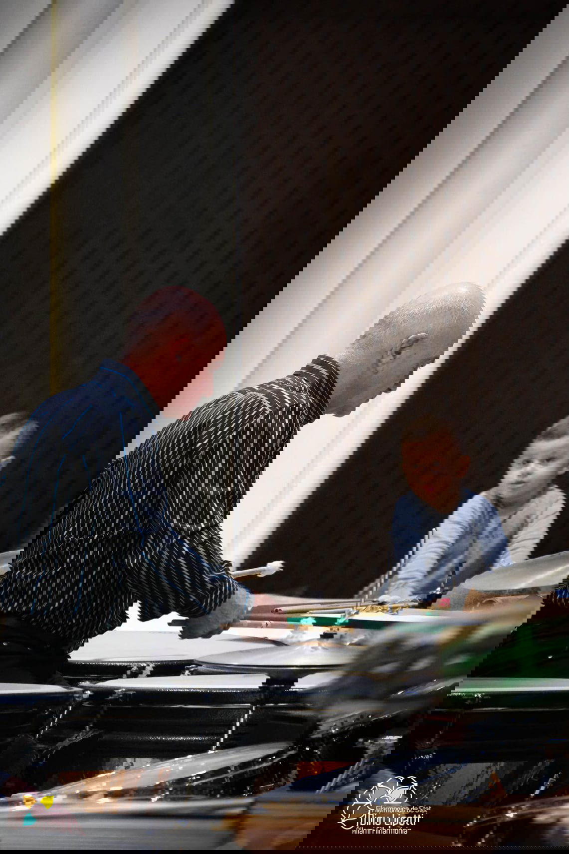 •  Fotó: Dinu Lipatti Állami Filharmónia / Facebook