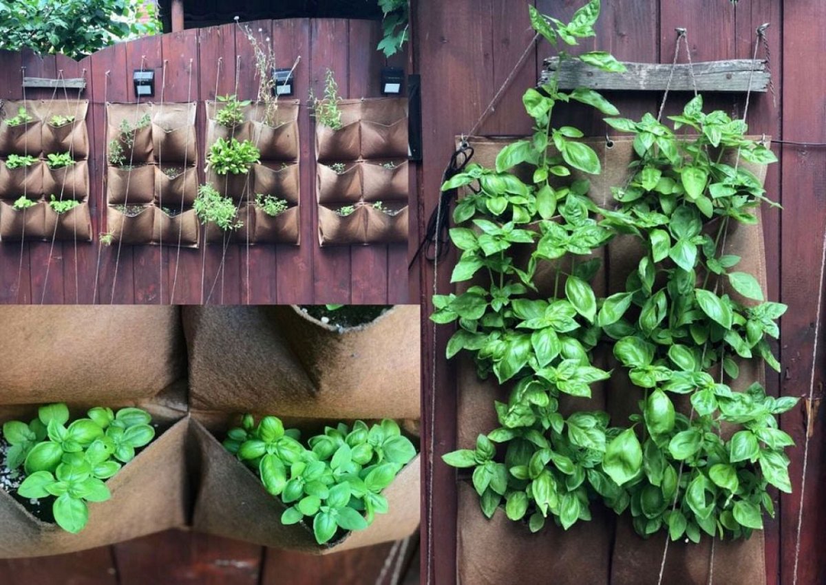 •  Fotó: Virágos Kolozsvár / Facebook