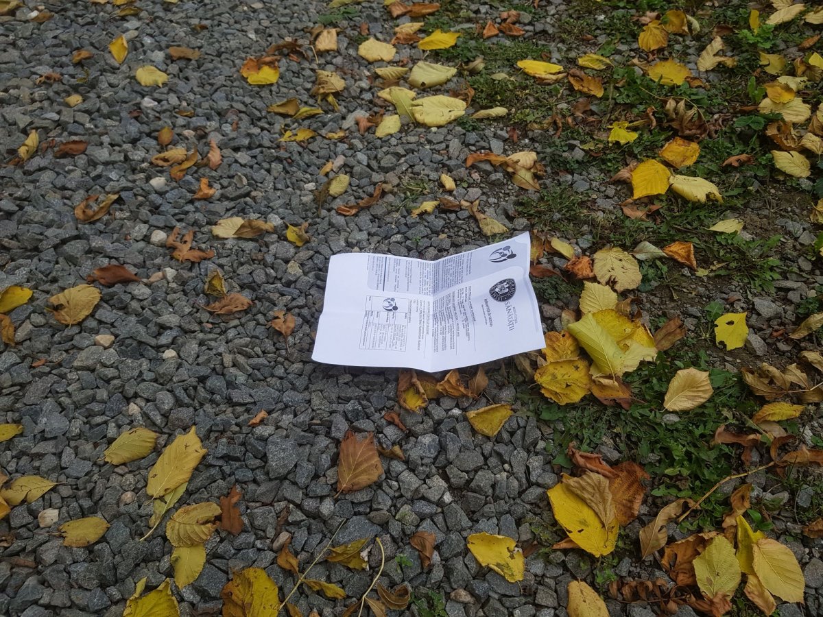 Képünk illusztráció •  Fotó: Páva Adorján