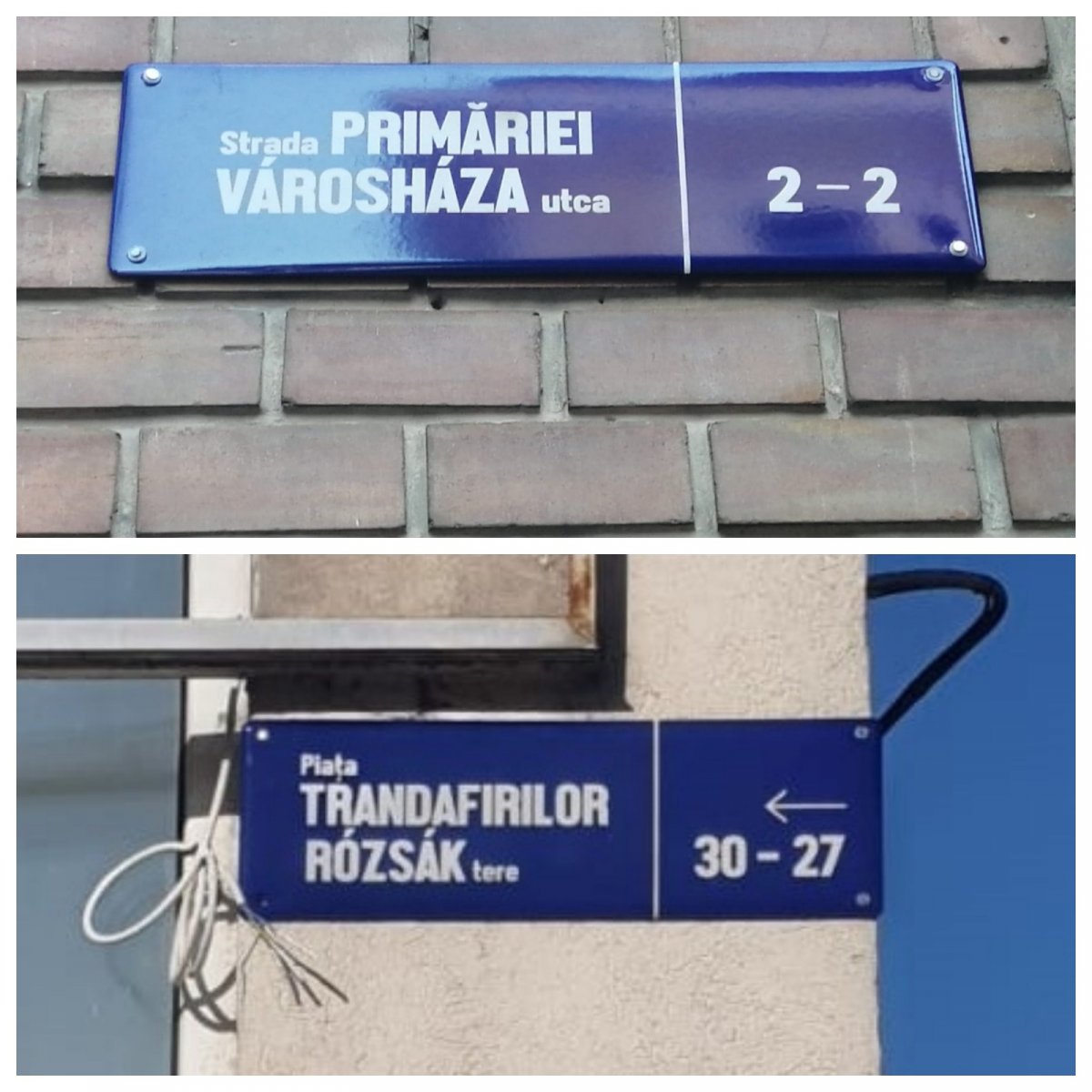 •  Fotó: Facebook/Dan Tanasa
