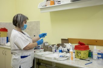 Románia adja az európai kanyarós esetek 85 százalékát