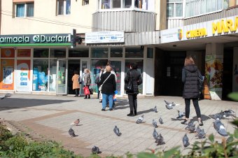 Rafila: lesz elegendő lázcsillapító a patikákban, elkezdték a kiszállítást