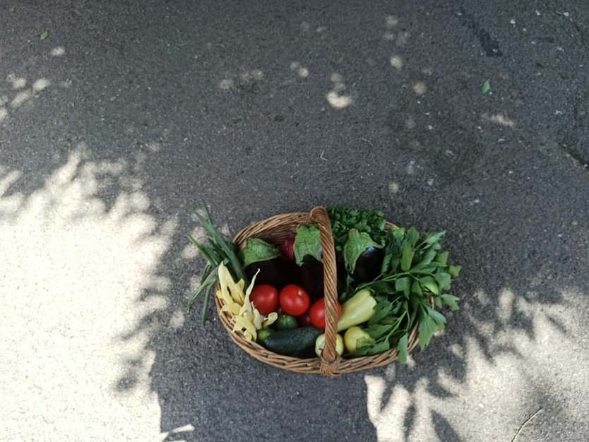 A köröstárkányi zöldséget Nagyszebenbe, Brassóba is elviszik •  Fotó: Bihon.ro