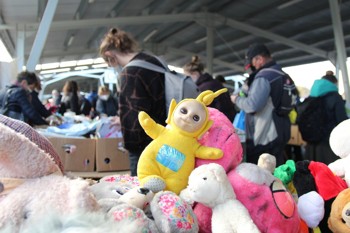 •  Fotó: Jakab Mónika