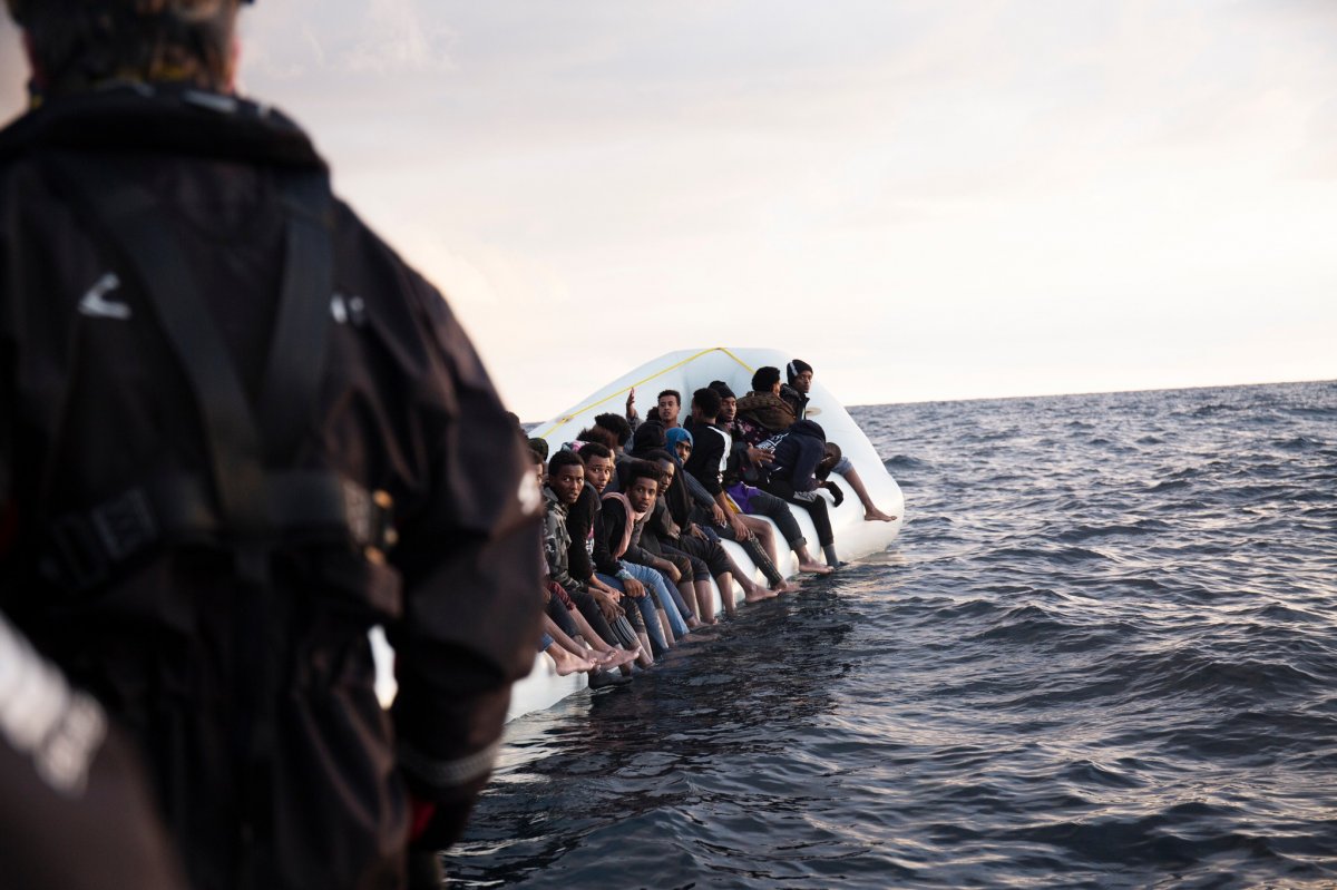 Képünk illusztráció •  Fotó: Facebook/Seawatchprojekt/Suzanne de Carrasco