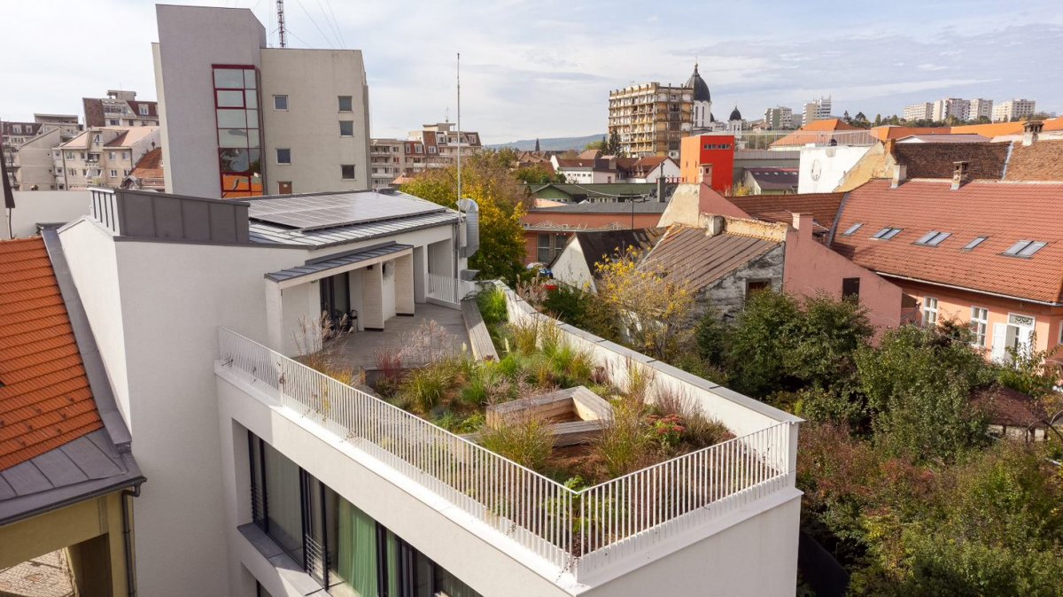 &bullet;  Fotó: Kristó-Gothárd Hunor