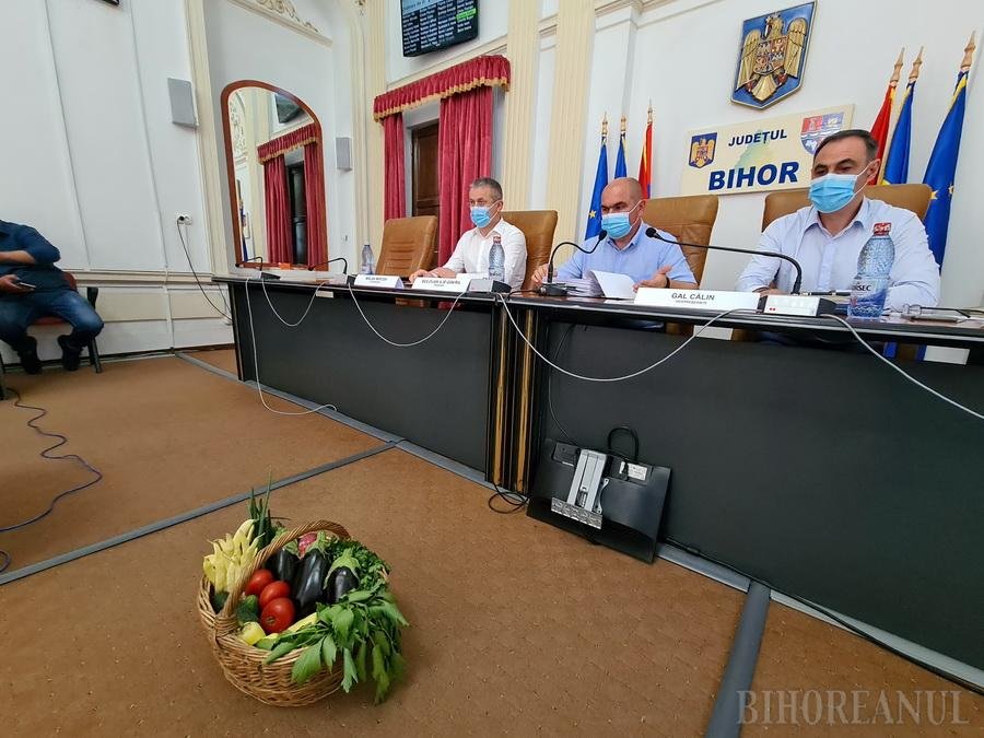 A zöldségtermesztést ellehetetlenítő megyei határozat júniusban született •  Fotó: Ebihoreanul.ro