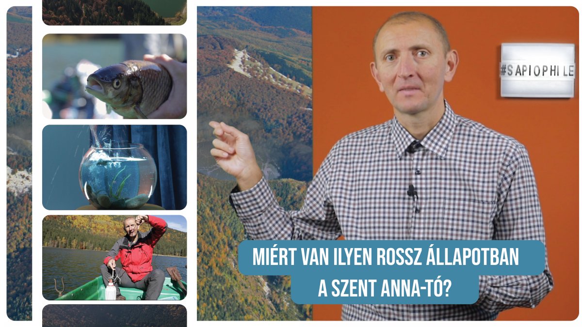 Máthé István &bullet;  Fotó: Köllő Ildikó