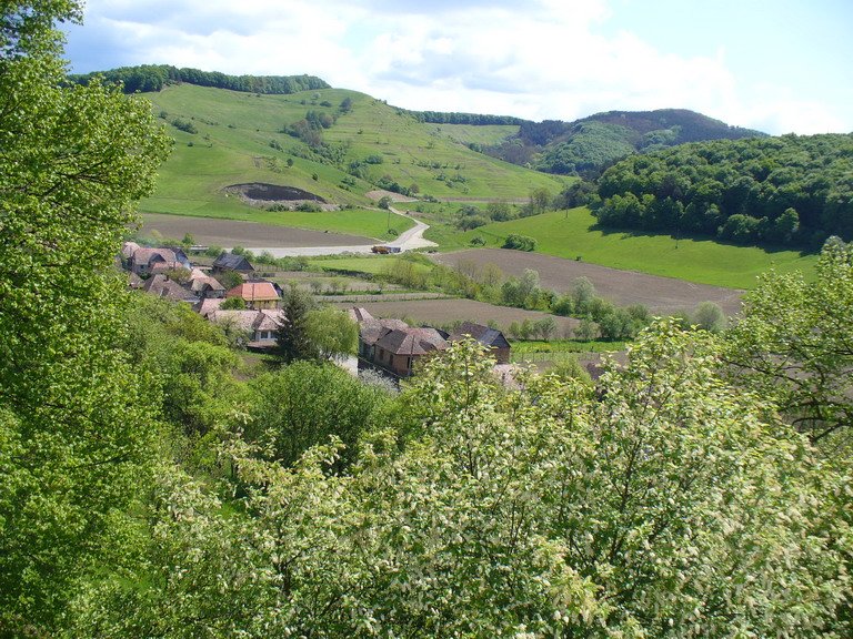 Vadasd is a falurombolás áldozatául esett volna, ha nem jön az 1989-es fordulat; az elárasztást Hajdu Győző is kérte •  Fotó: Commons.wikimedia.org/jeffwarder