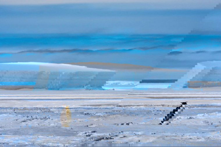 Hatalmas jéghegy vált le az Antarktiszról