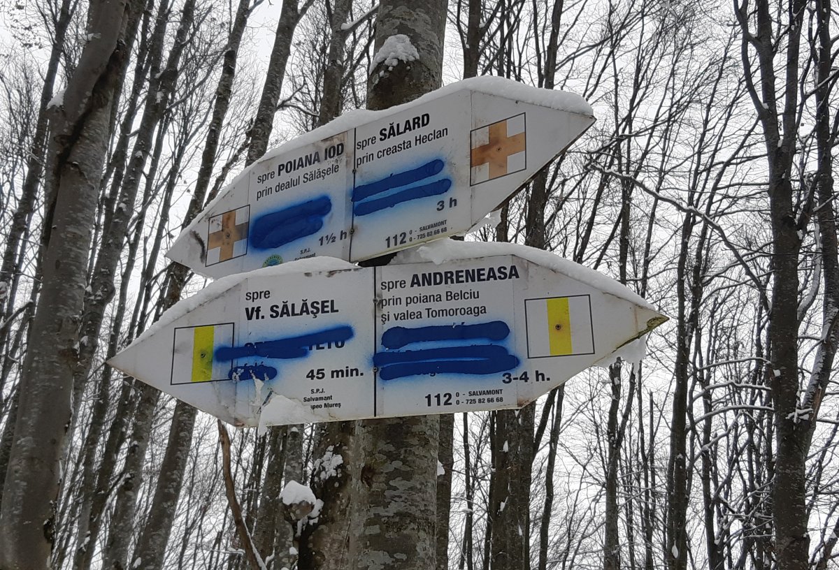 &bullet;  Fotó: Ábrám Zoltán