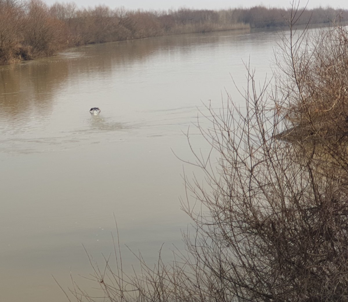 Képünk illusztráció •  Fotó: Szamos-Tisza Vízügyi Igazgatóság