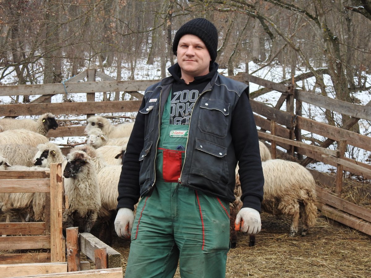 Horváth Csaba mérai juhos gazda: manapság nagyon nehéz juhászt, szarvasmarha-pásztort találni •  Fotó: Makkay József