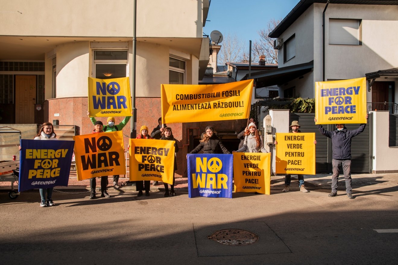 •  Fotó: Greenpeace Románia