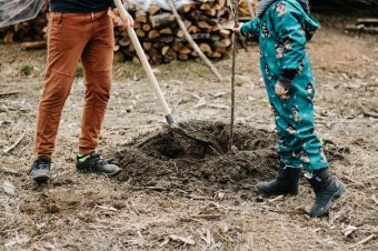 150 millió lejre pályázhatnak a civil szervezetek a Környezeti nevelés és környezettudatosság program keretében