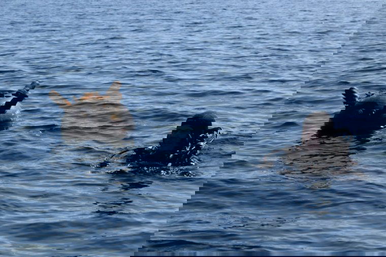 Tengeri aknát semmisített meg a román haditengerészet Eforie közelében