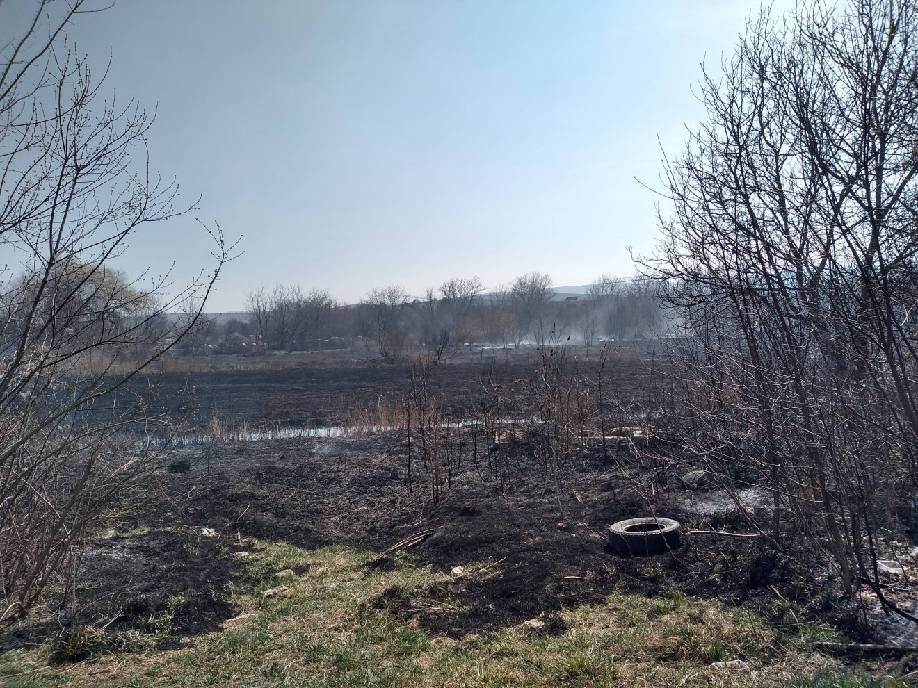 tarló gyep égetés