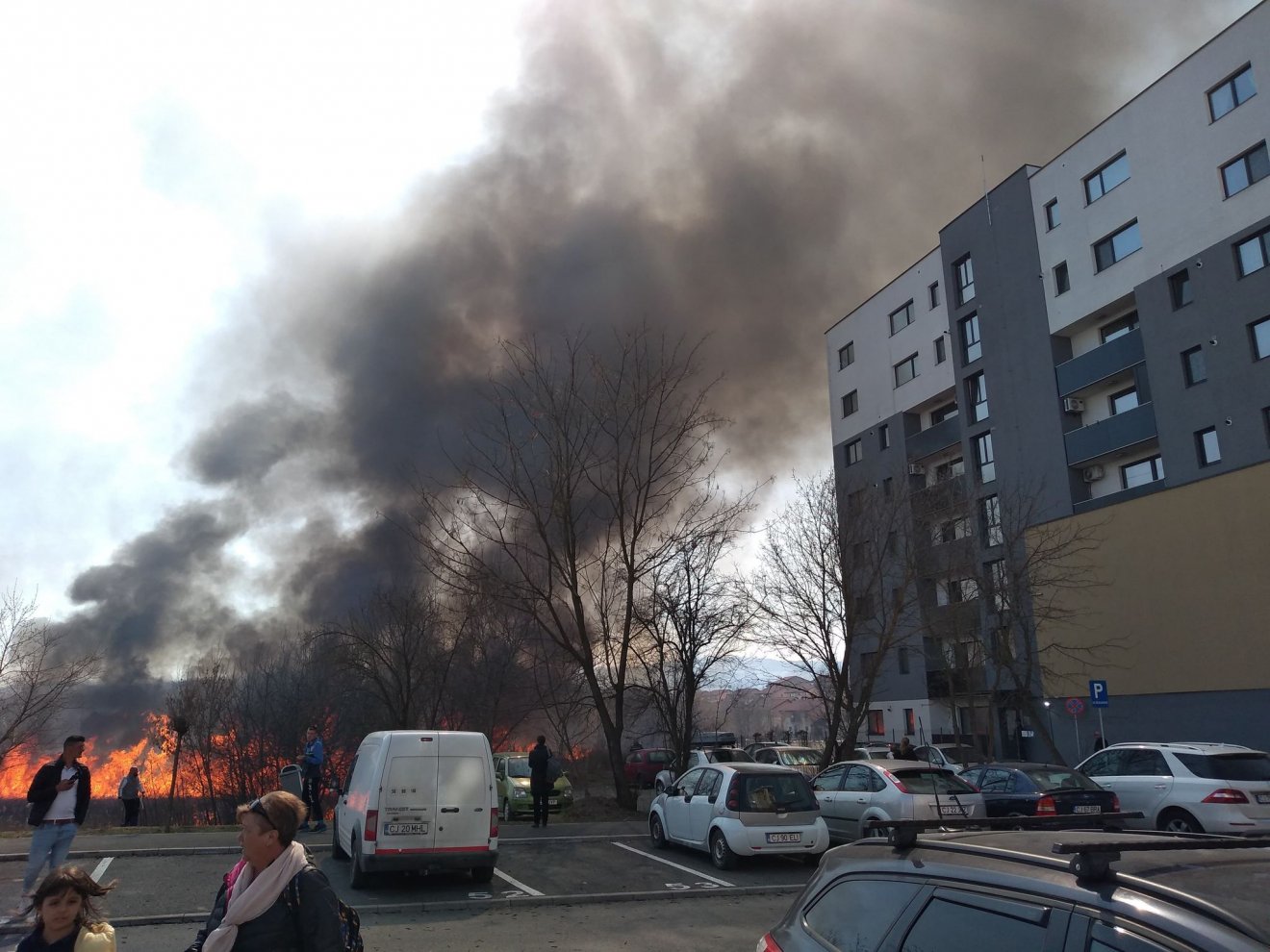 •  Fotó: Jakab Mónika