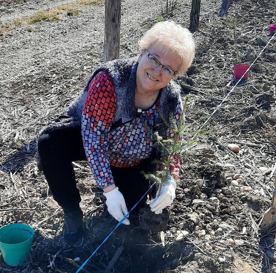 Békéssy Erzsébet, a Szatmár Megyei Környezetvédelmi Ügynökség korábbi vezetője nyugdíjasként is tesz a környzetért •  Fotó: Facebook/Erzsébet Békéssy