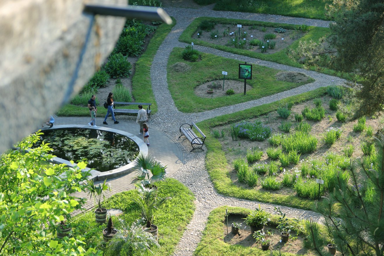 •  Fotó: Jakab Mónika