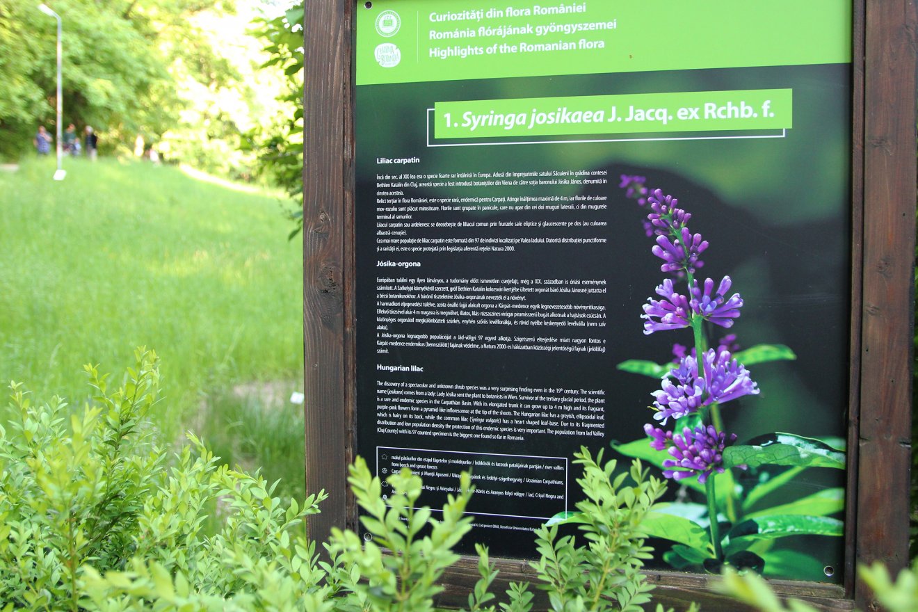 •  Fotó: Jakab Mónika