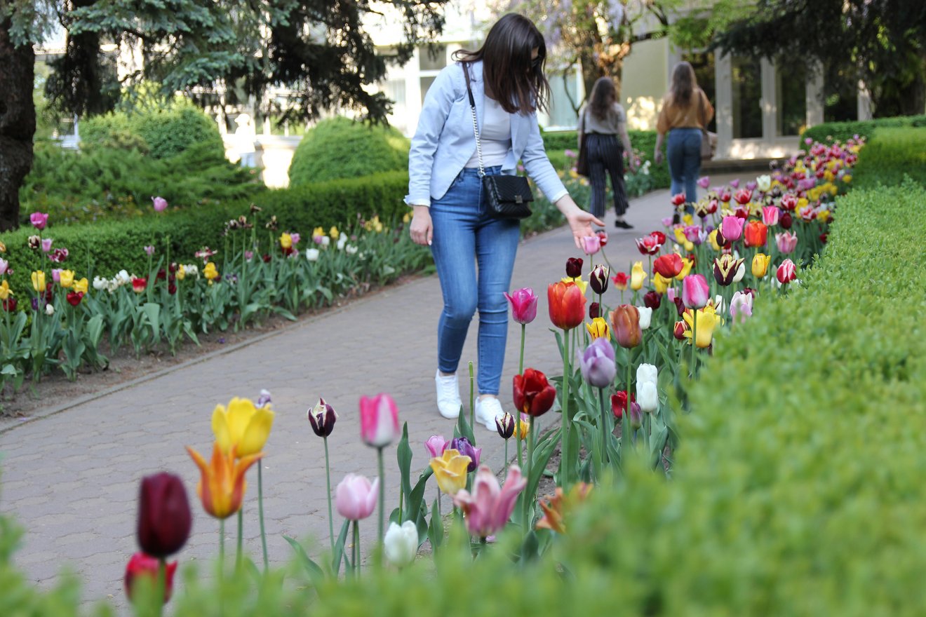 •  Fotó: Jakab Mónika
