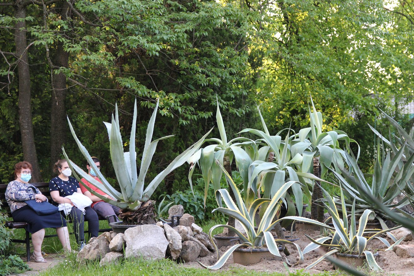 •  Fotó: Jakab Mónika