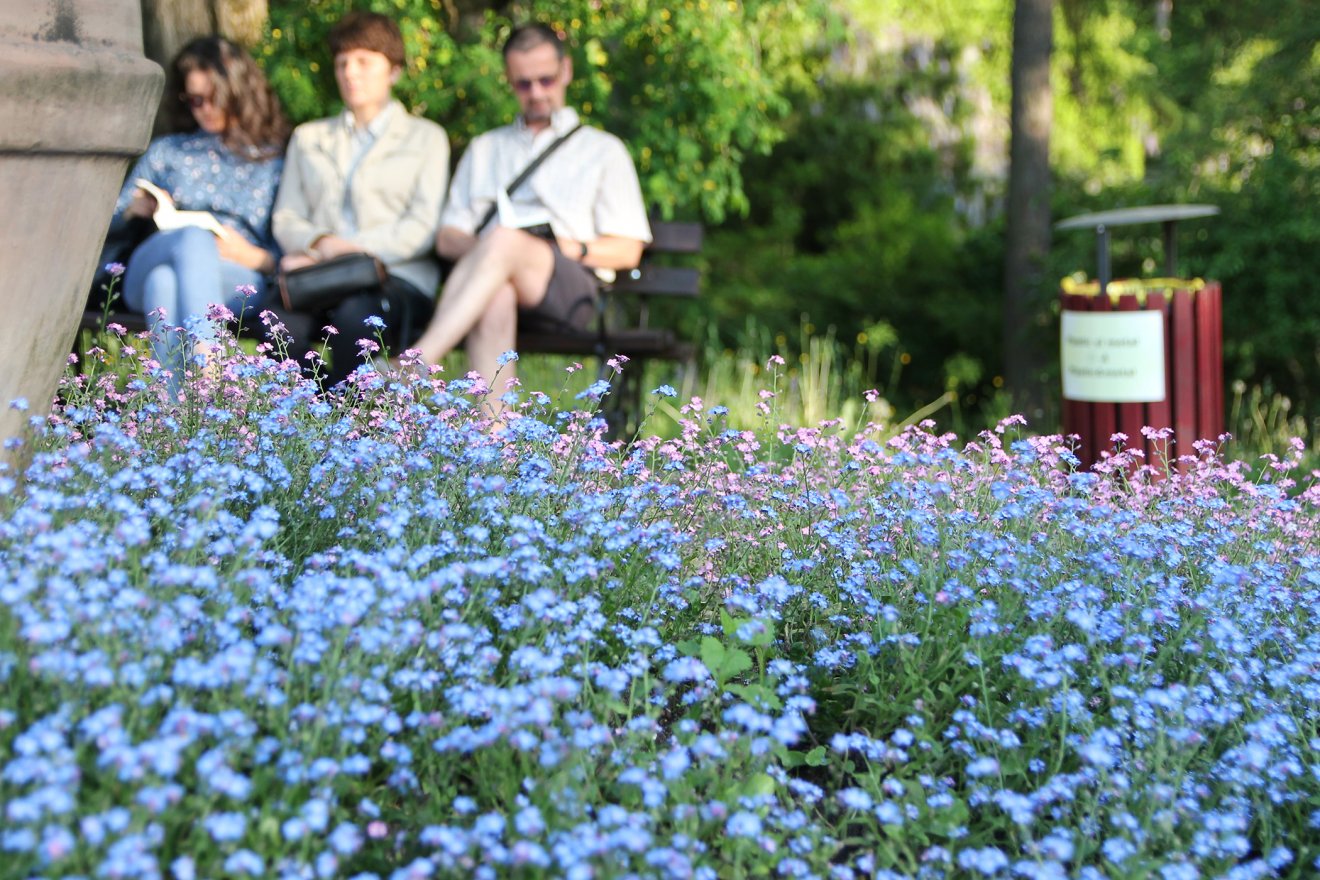 •  Fotó: Jakab Mónika