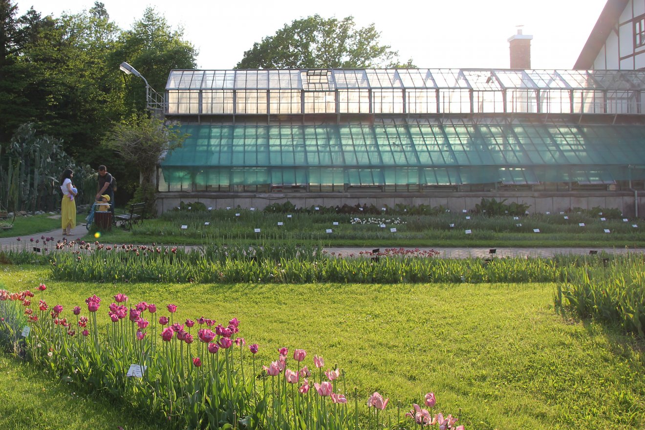 •  Fotó: Jakab Mónika