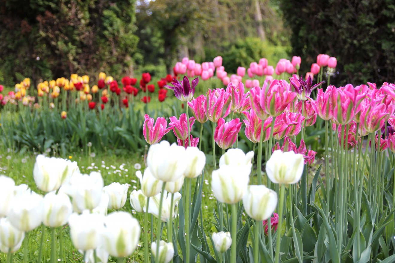 •  Fotó: Jakab Mónika