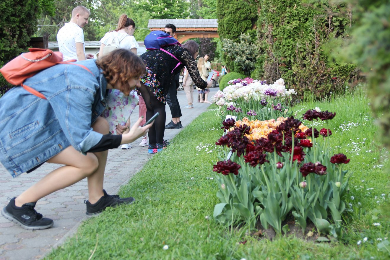 •  Fotó: Jakab Mónika