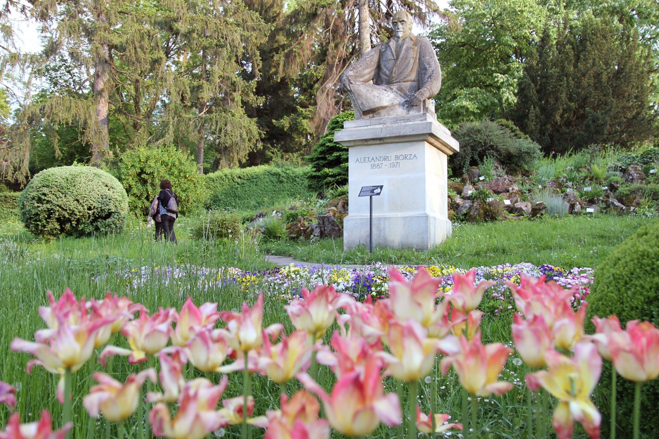 •  Fotó: Jakab Mónika