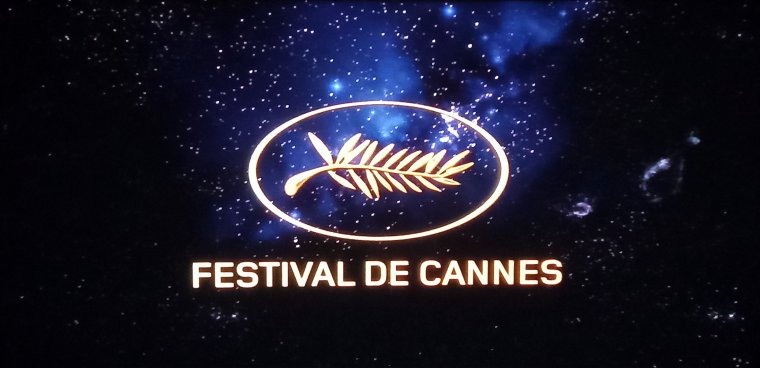 Magyar elnöke lesz a 76. cannes-i filmfesztivál Cinef válogatás nemzetközi zsűrijének