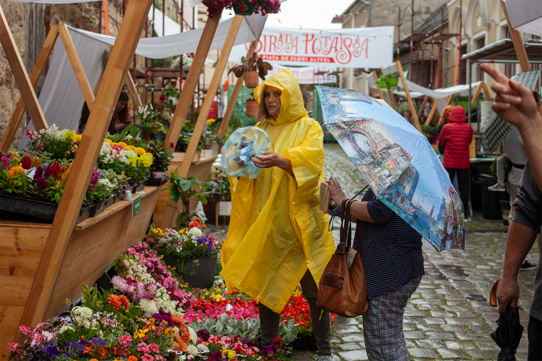 Nyári záporban is „kivirágzott” a kolozsvári Fogoly utca (képriport)
