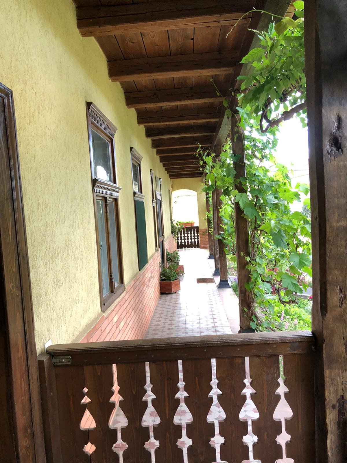 •  Fotó: Nagy Mária