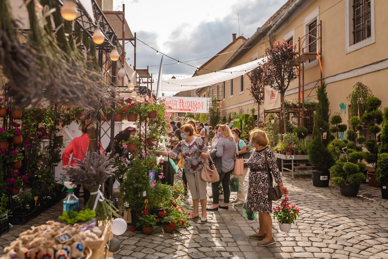 •  Fotó: Strada Potaissa / Facebook