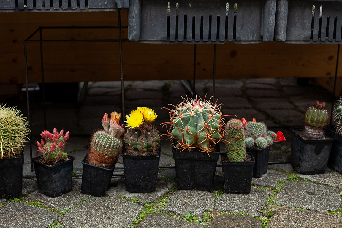 •  Fotó: Zoltán Ildikó