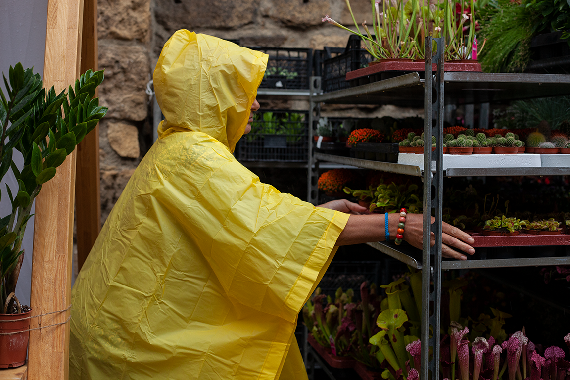 •  Fotó: Zoltán Ildikó