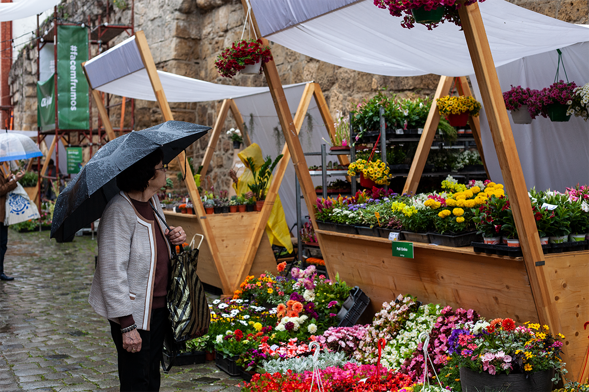 •  Fotó: Zoltán Ildikó