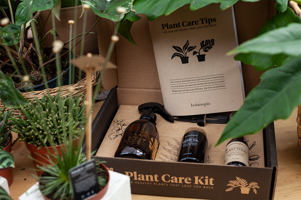 •  Fotó: Zoltán Ildikó