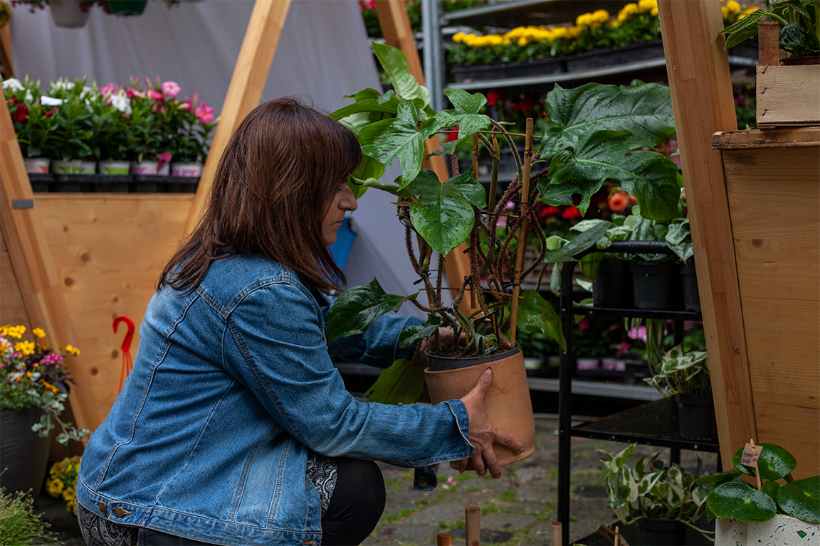 •  Fotó: Zoltán Ildikó
