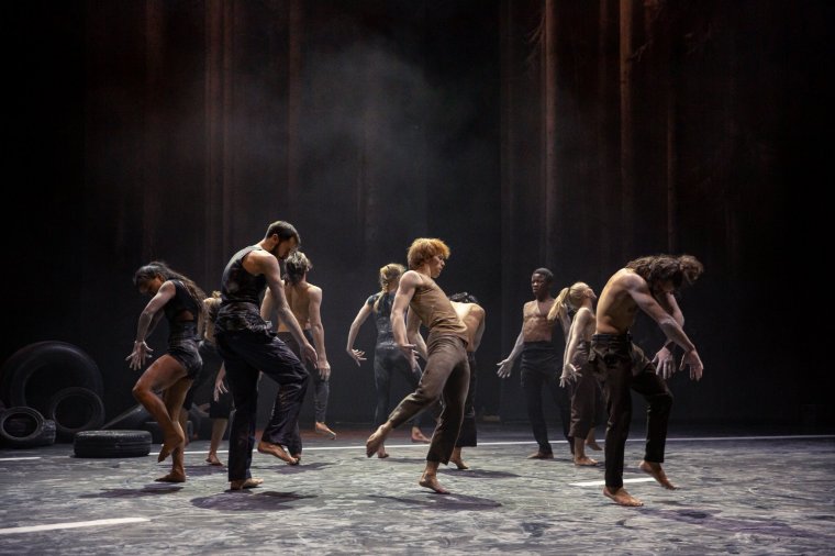 Neves koreográfusok táncelőadásai a Flow nemzetközi fesztiválon Sepsiszentgyörgyön