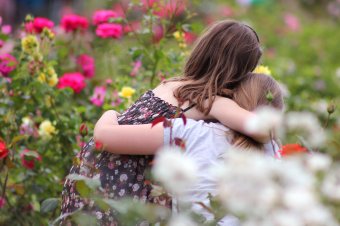 Bor- és rózsafesztivált szerveznek Nagyenyeden