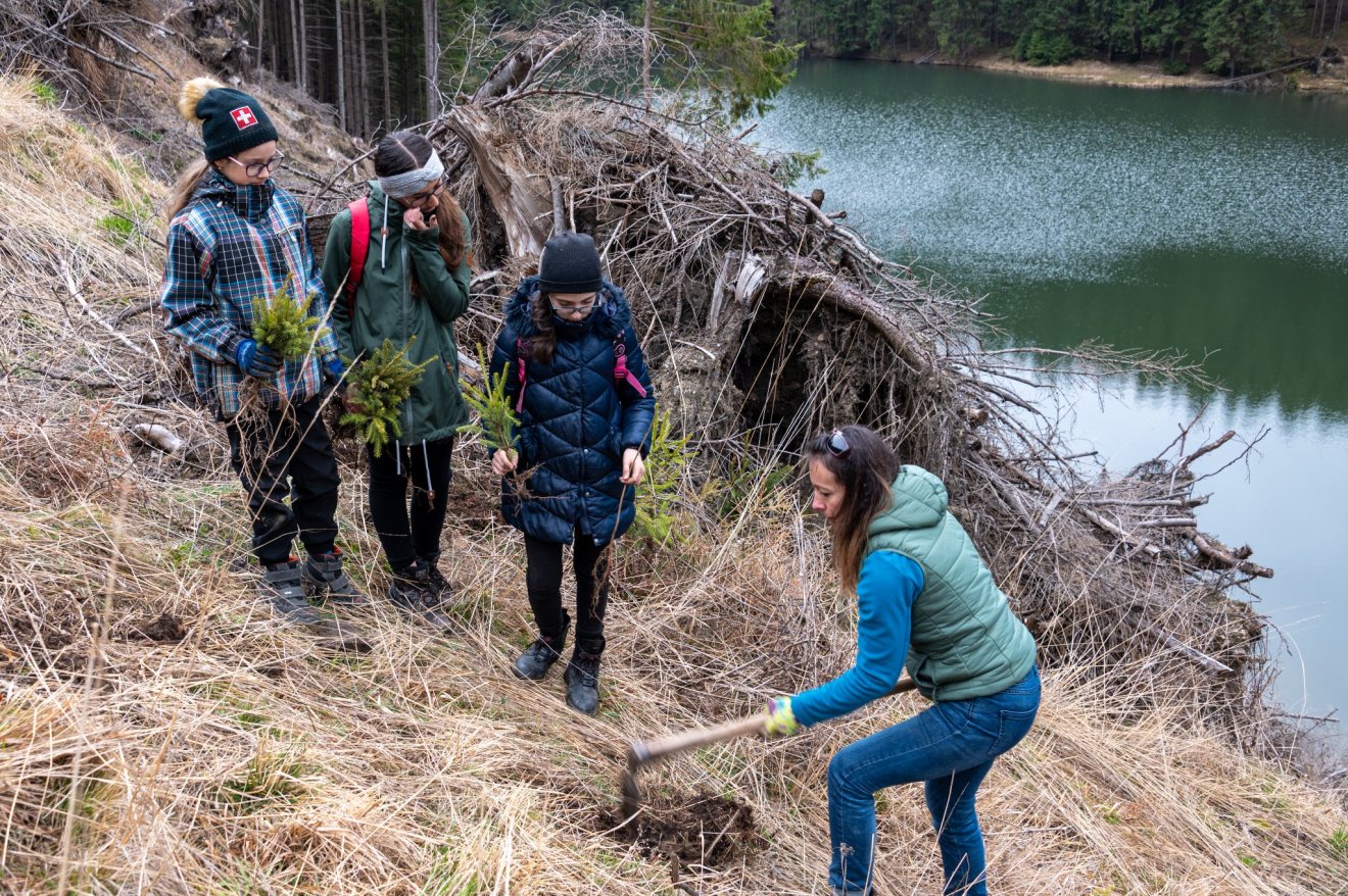 A Nagy-Hagymás-hegységben történő faültetési projektben a helyi lakosok is közreműködtek •  Fotó: Facebook/ Pando Assotiation