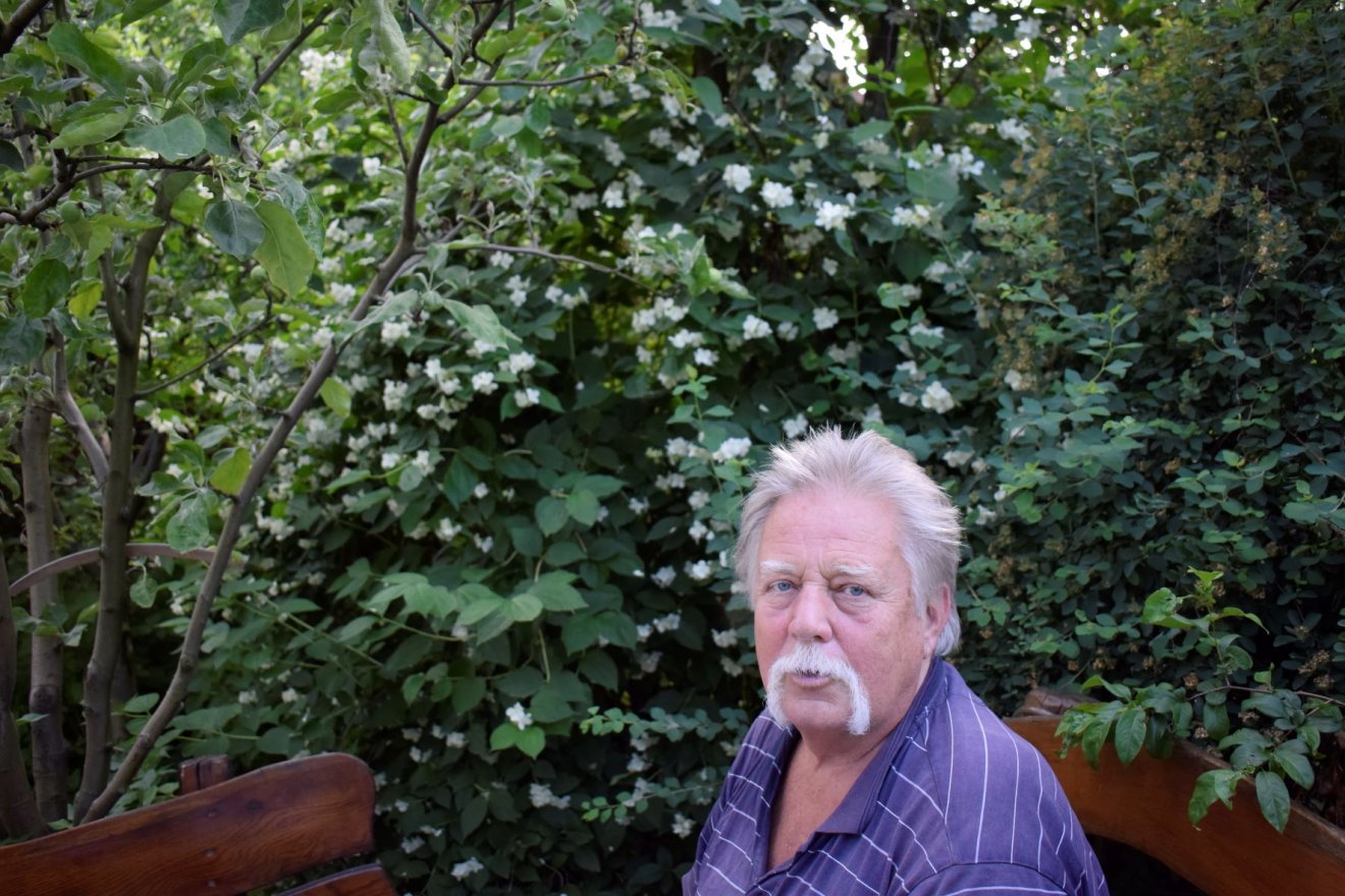 Gálfalvi György író 