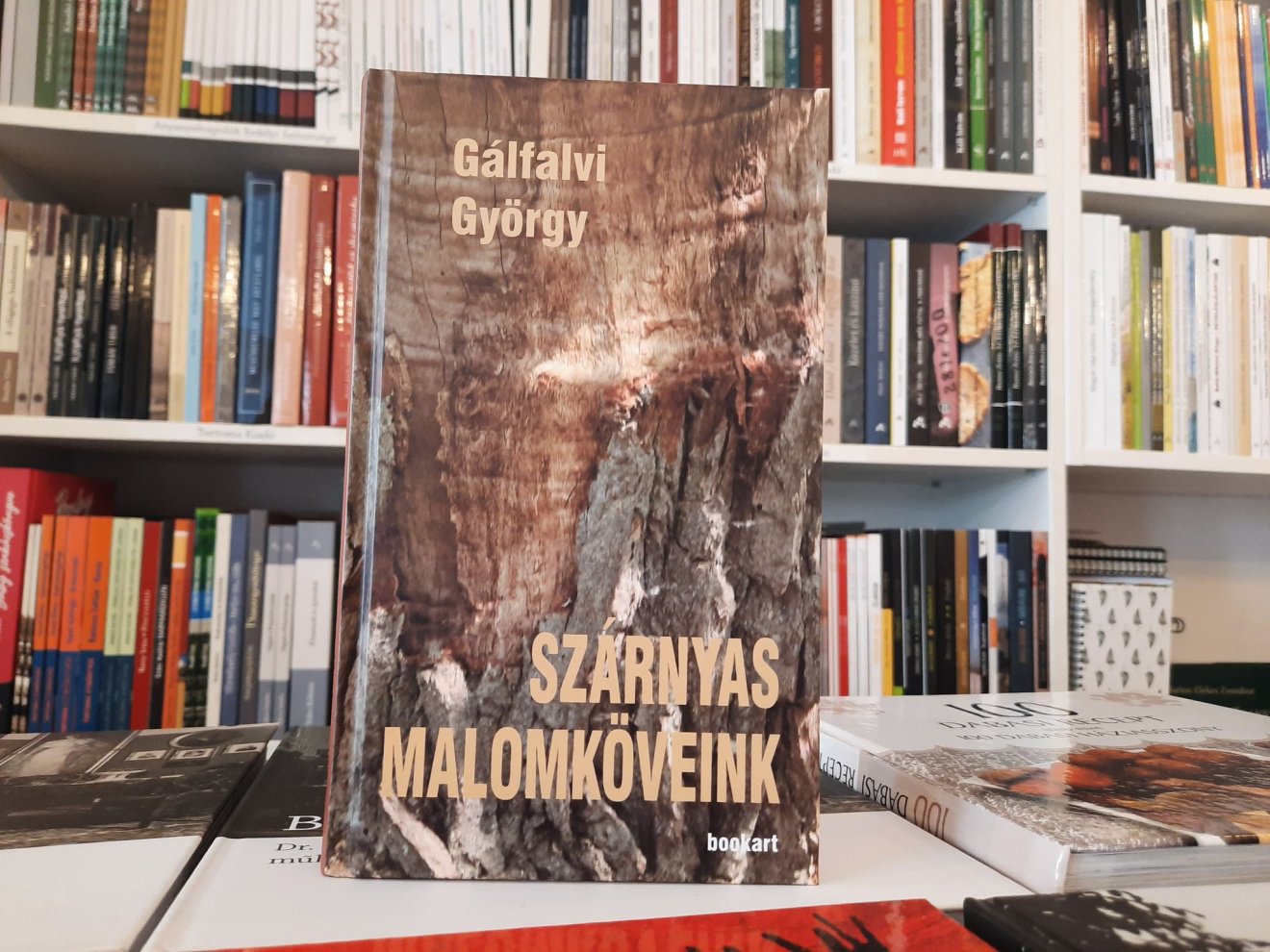 A 22 alkotó arcképét felvillantó, Szárnyas malomköveink című kötet idén jelent meg 